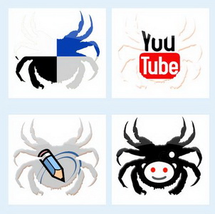 Spider social icons